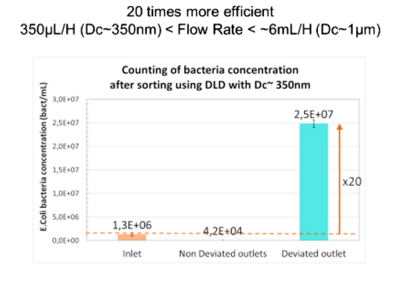 Example Bacteria cojncentration (E. COLI).png